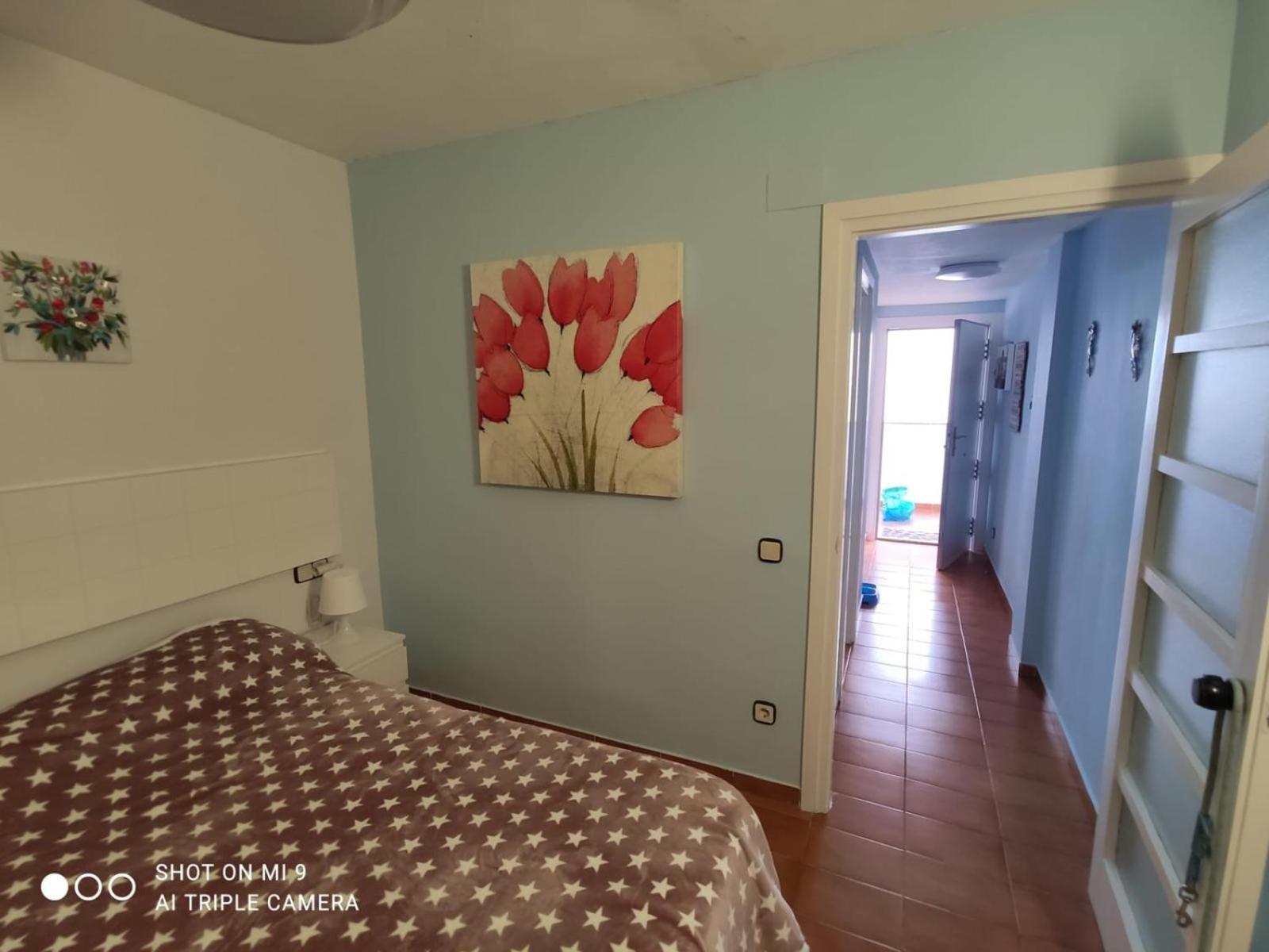 Apartamento Tossa Tossa de Mar Zewnętrze zdjęcie